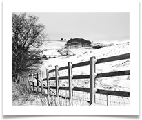 5 - Three inches of snow - Chris Beesley